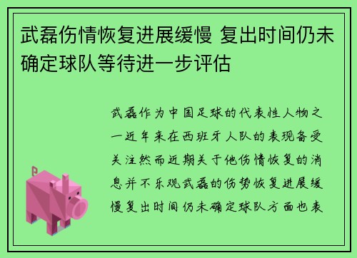 武磊伤情恢复进展缓慢 复出时间仍未确定球队等待进一步评估