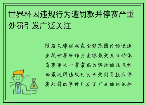 世界杯因违规行为遭罚款并停赛严重处罚引发广泛关注